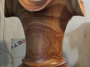 luc binh go huong do