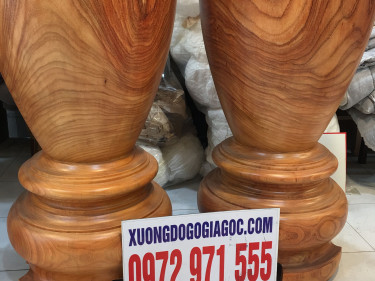 Lục Bình Cao 180cm