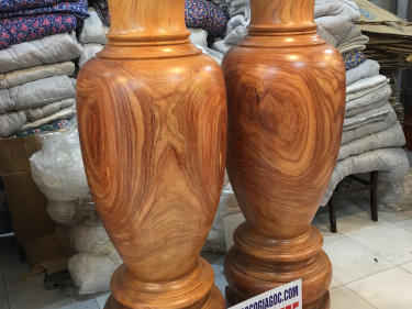 Lục Bình Cao 180cm