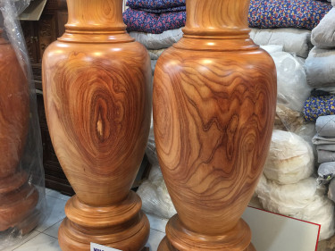 Lục Bình Cao 180cm