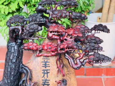 Tam dương khai thái gỗ trắc đỏ đen